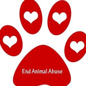 Meet your Posher, Terri